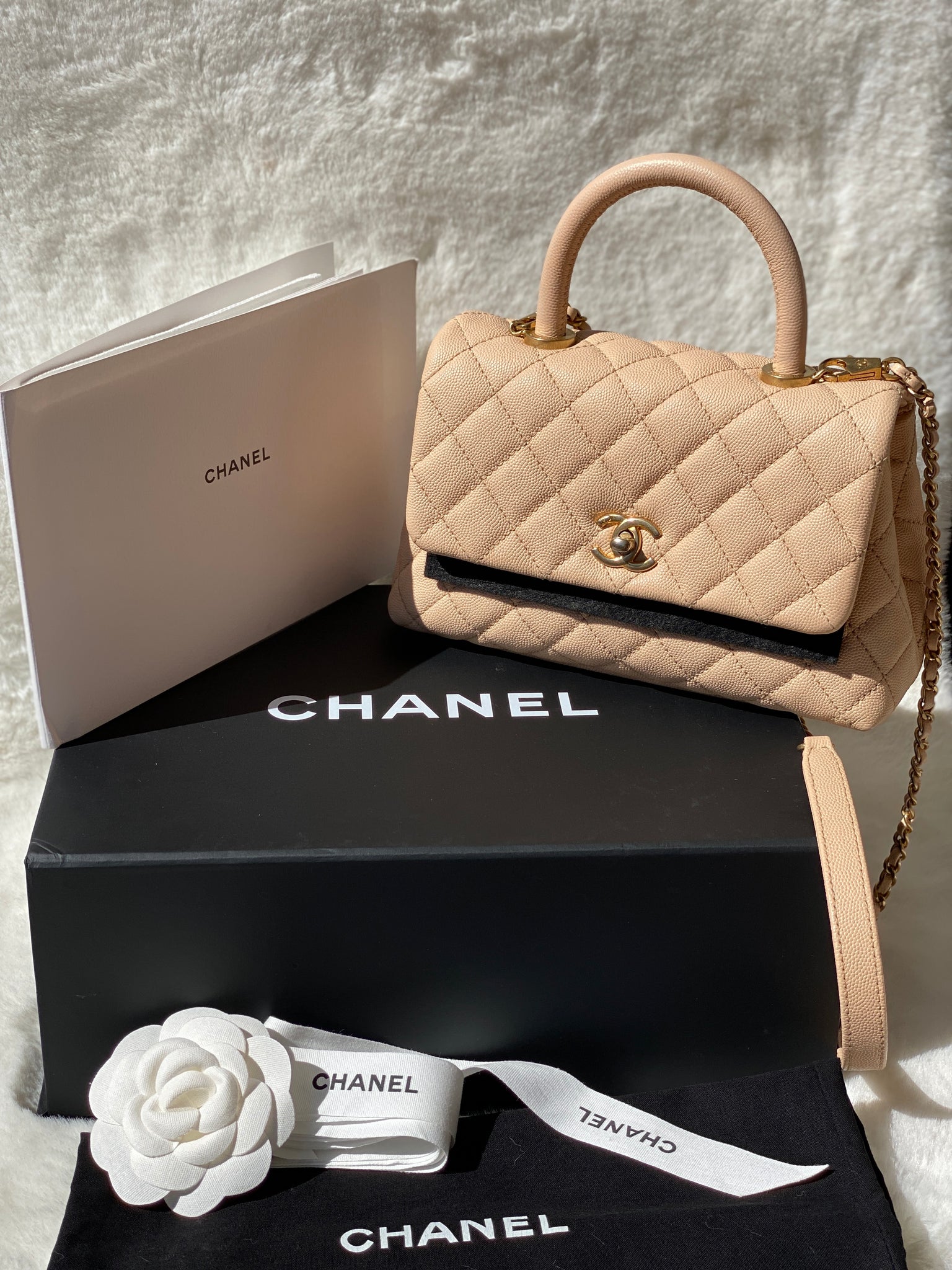 Pre-owned Chanel Coco Handle Caviar Beige Large Bag